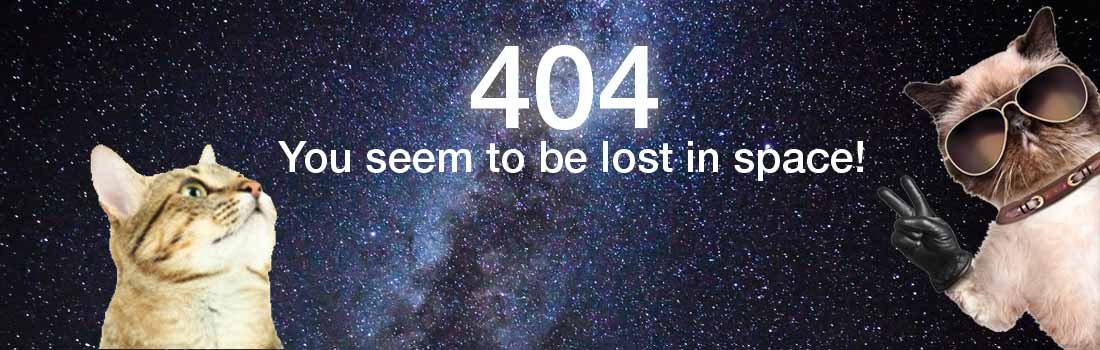 404 Error - This page is no longer available.