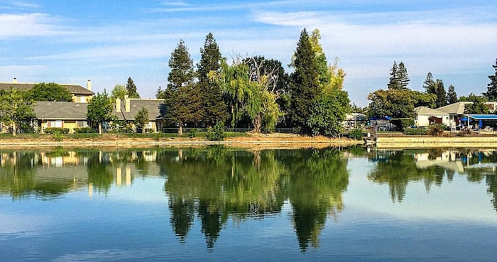 A neighborhood on a lake with tall trees reflected in the water.