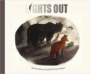Lights Out Children's Book Light Pollution