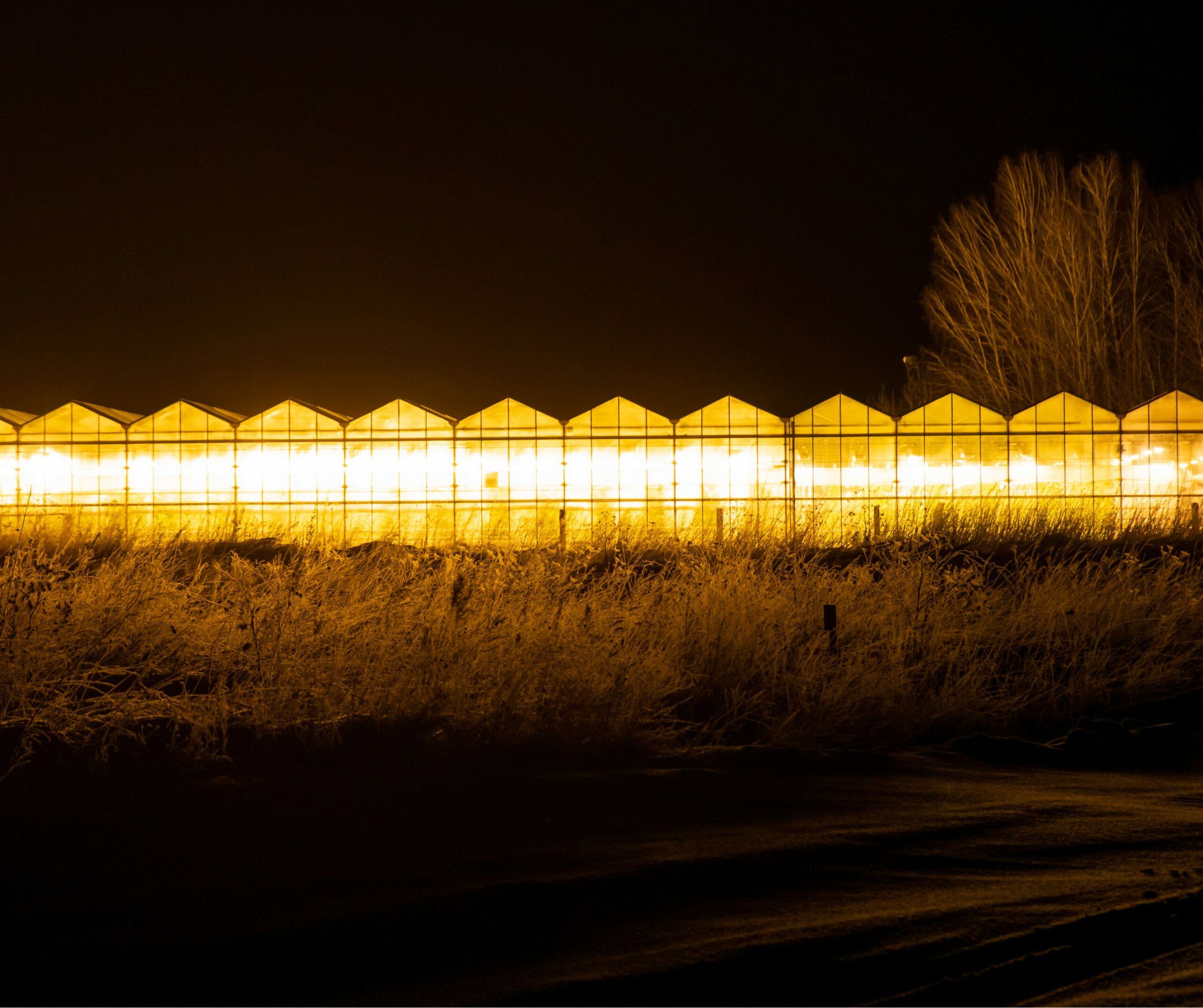 Light pollution from greenhouses at night