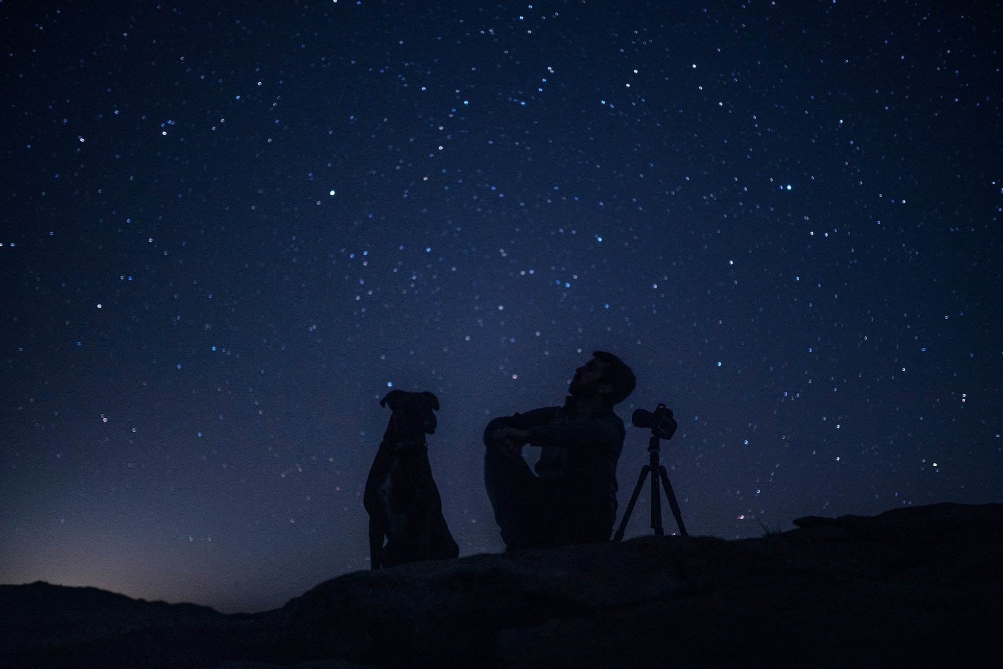 9 Stellar Photos of dogs and the night sky