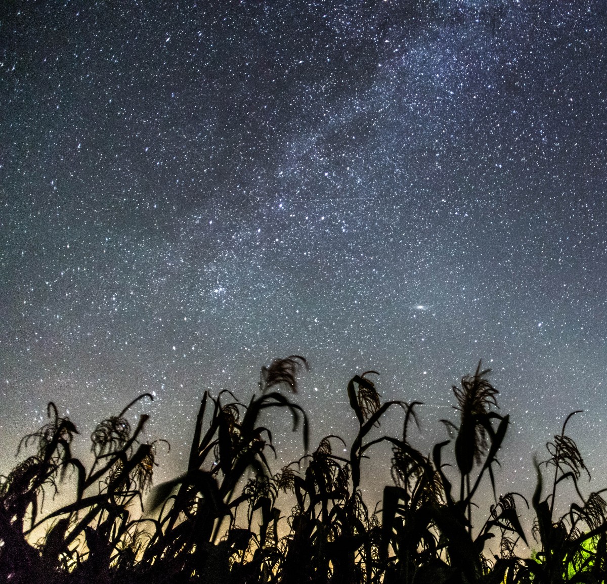 A view of the night sky from Lauwersmeer Dark Sky Park.